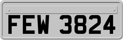 FEW3824