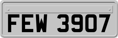 FEW3907
