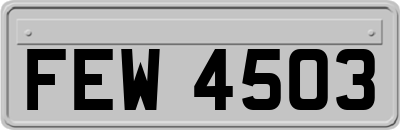 FEW4503