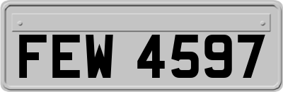 FEW4597