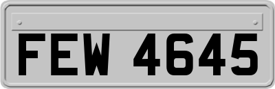 FEW4645