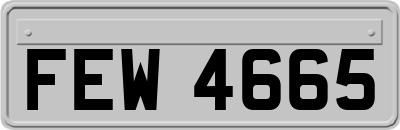FEW4665