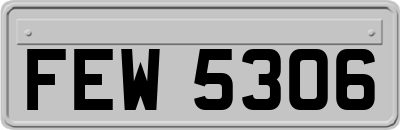 FEW5306