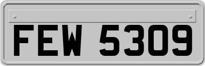 FEW5309