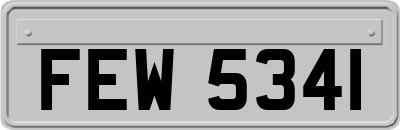 FEW5341