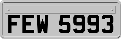 FEW5993