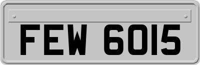 FEW6015