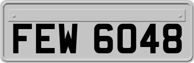 FEW6048