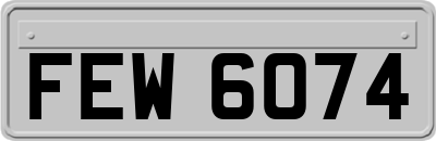 FEW6074
