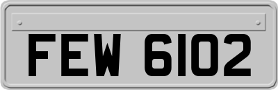 FEW6102