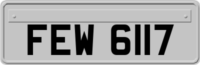 FEW6117