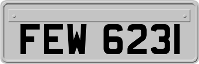 FEW6231