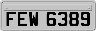 FEW6389