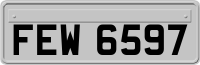 FEW6597
