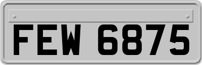 FEW6875