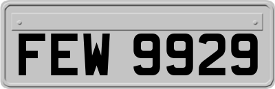 FEW9929