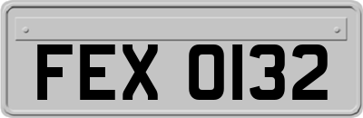 FEX0132