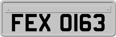 FEX0163
