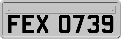 FEX0739