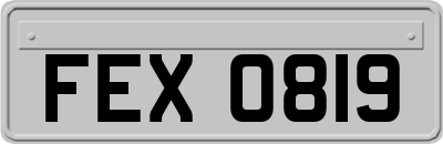 FEX0819