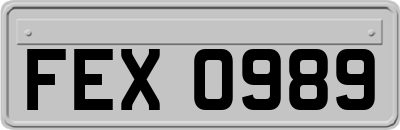 FEX0989