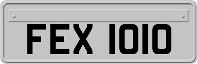 FEX1010