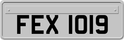 FEX1019