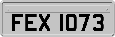 FEX1073