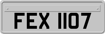 FEX1107