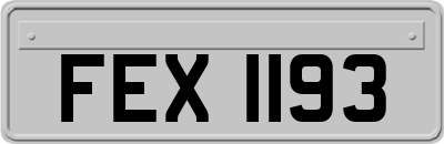 FEX1193