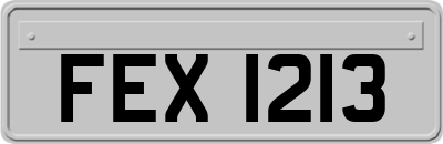 FEX1213
