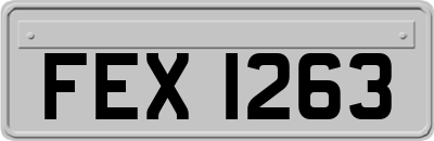 FEX1263