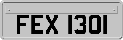 FEX1301