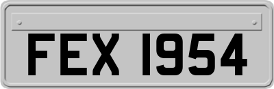 FEX1954