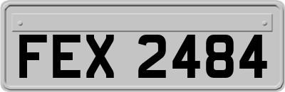 FEX2484