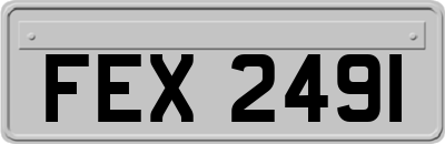 FEX2491