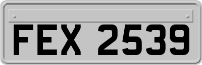 FEX2539