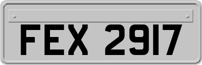 FEX2917