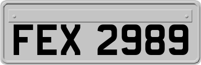 FEX2989