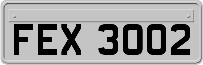 FEX3002
