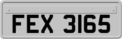 FEX3165