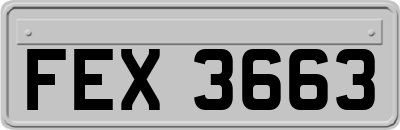 FEX3663