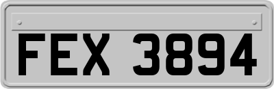 FEX3894