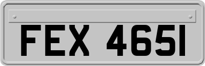 FEX4651