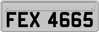 FEX4665