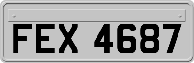 FEX4687