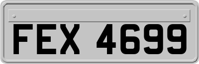 FEX4699