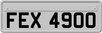 FEX4900