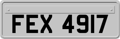 FEX4917