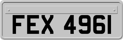 FEX4961